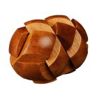 Nagy Elmék - Darwin Az evolució tojása Professor Puzzle ördöglakat