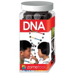 Zometool - DNS molekula - DNA