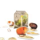 Marbushka: Piggily társasjáték (magyar szabállyal)