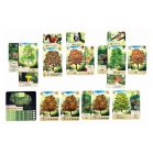 Az erdő társasjáték