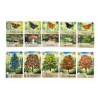 Az erdő társasjáték