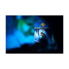 A Gyűrűk Ura - Párbaj Középföldéért társasjáték