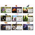 Amazónia társasjáték