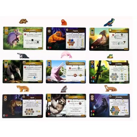 Amazónia társasjáték