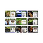 Amazónia társasjáték