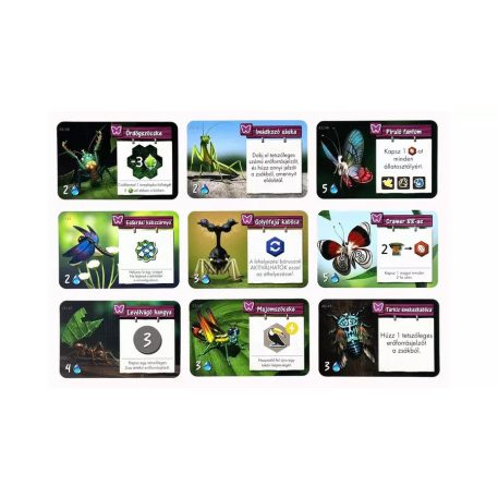 Amazónia társasjáték