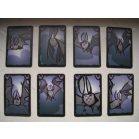 Csótány Póker - magyar kiadás