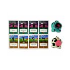 Röppenő cicák: Duopakk - Bocica és Dj Mirci társasjáték