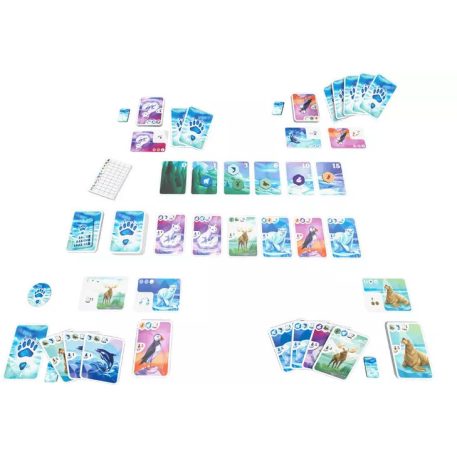 Sarkvidék társasjáték