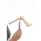 Hihetetlen Pteranodon Egyensúlyozó Dinoszaurusz