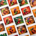 Kerti rejtély társasjáték