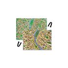 Police 07 Reloaded társasjáték